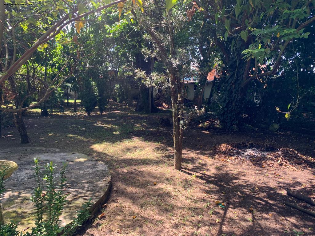 Sítio à venda com 2 quartos, 5543m² - Foto 4