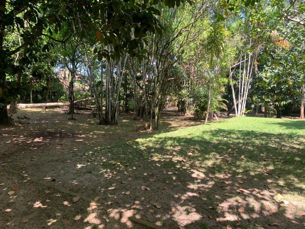 Sítio à venda com 2 quartos, 5543m² - Foto 8
