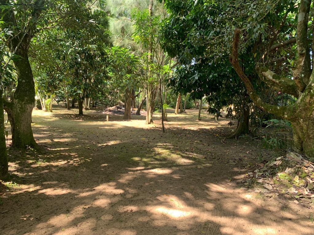 Sítio à venda com 2 quartos, 5543m² - Foto 11