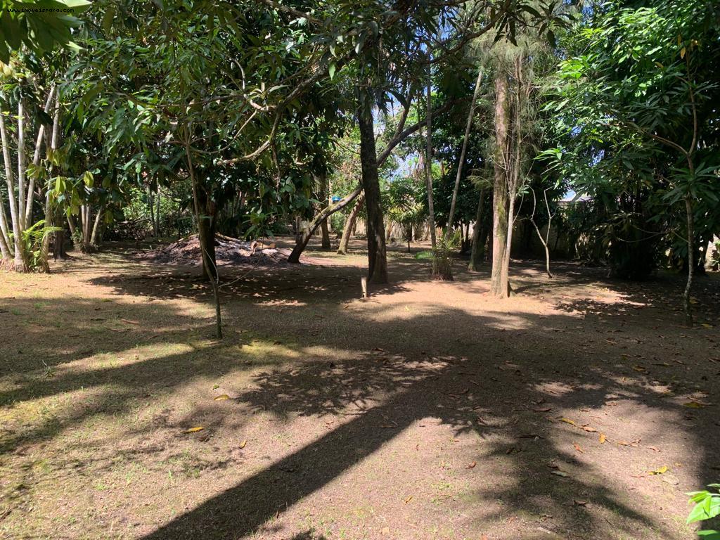 Sítio à venda com 2 quartos, 5543m² - Foto 12