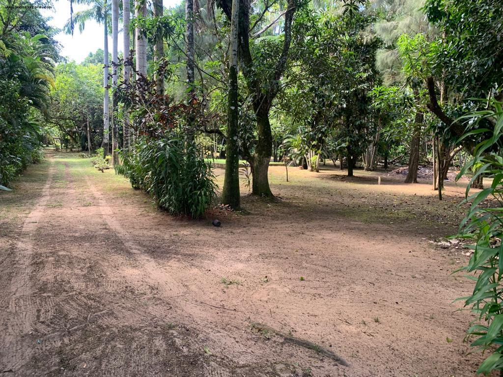 Sítio à venda com 2 quartos, 5543m² - Foto 15